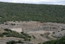 Βοσκός στην Γρατινή Ροδόπης κατήγγειλε ότι τον περικύκλωσαν 9 νιγηριανοί! (video)